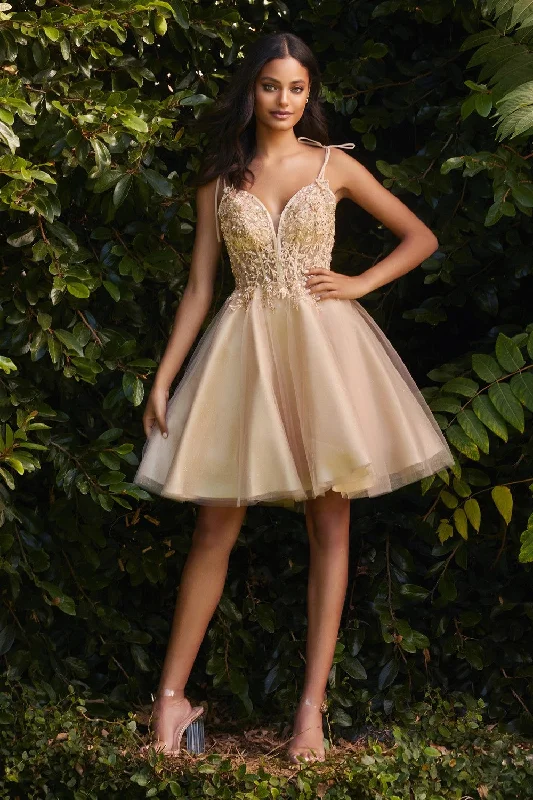 Short Tulle A-line Homecoming Dress CD0188