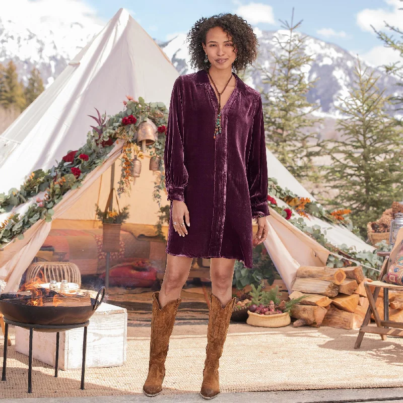 Hendrix Velvet Dress